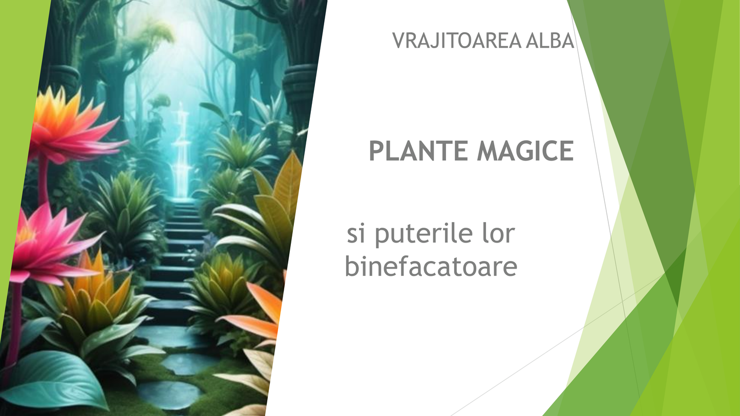 Plante Magice